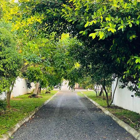 ホテル Beverly Beach ミリッサ エクステリア 写真